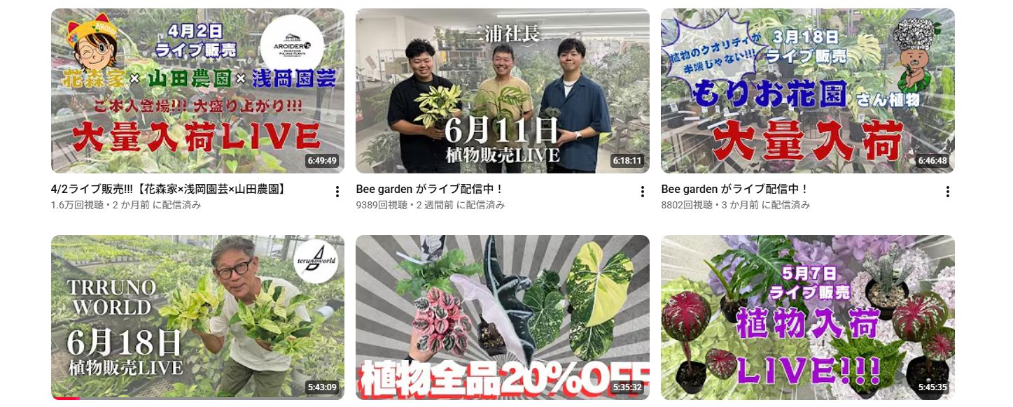 毎週LIVE配信中