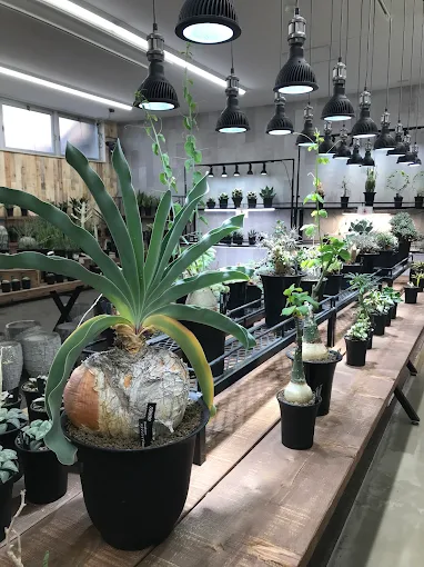 豊富な品揃え 3