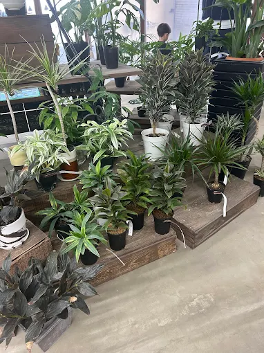 豊富な品揃え 4
