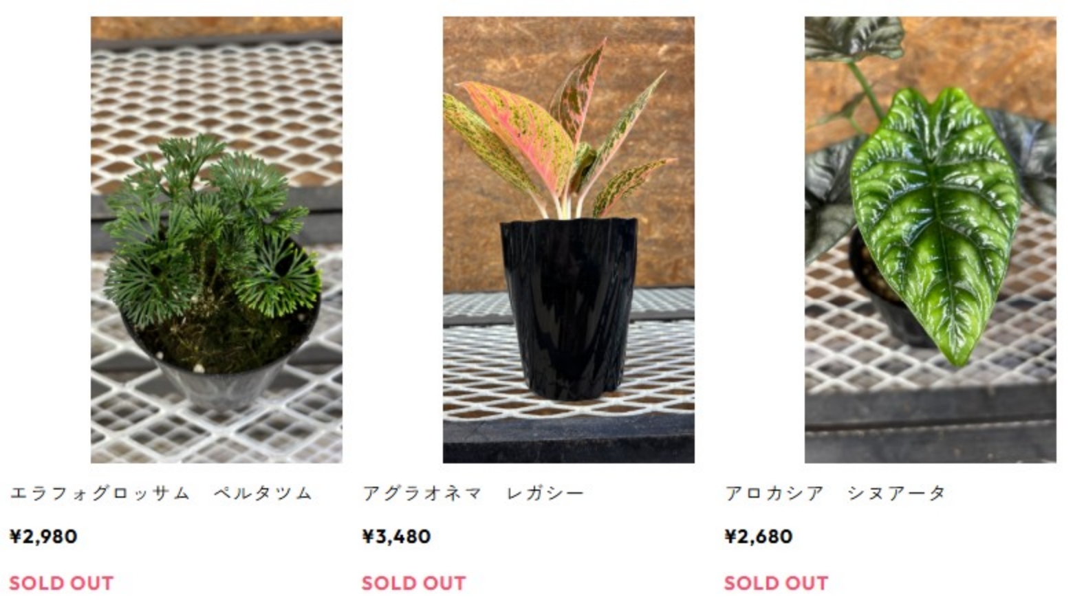 ONLINE SHOP